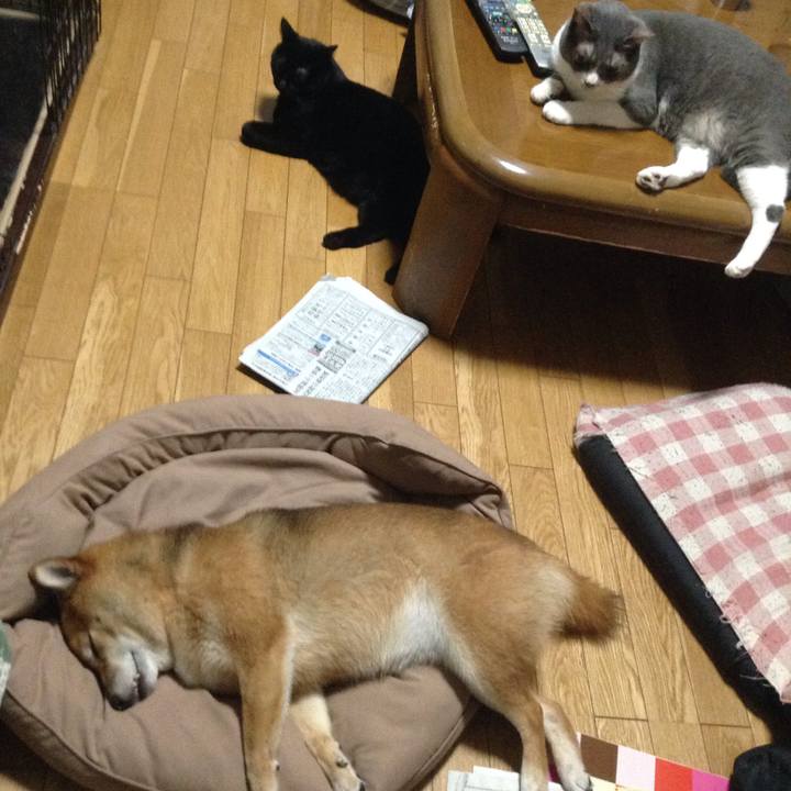 Dc39d3f5 31a6 4769 9253 aaef70b1dd6f