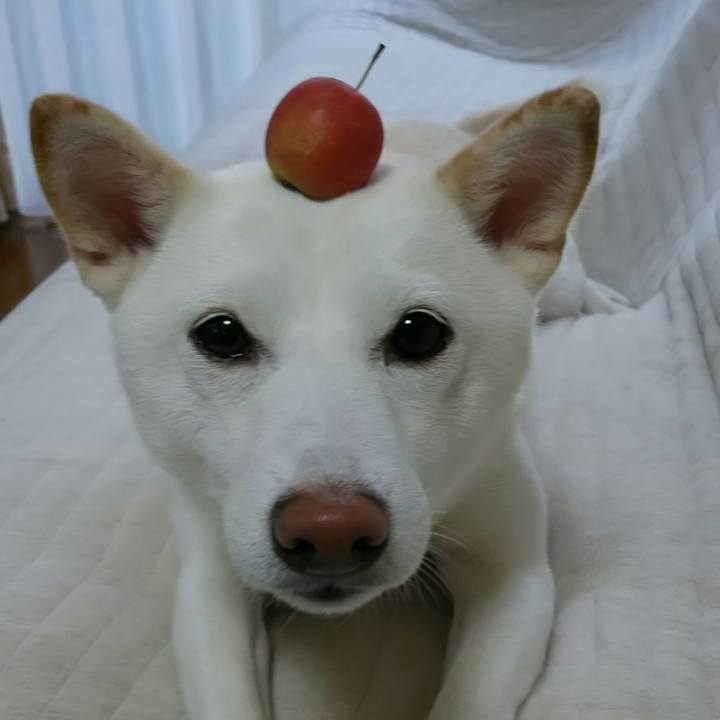 Dc3af18f 2f93 41ea 9630 2ebcae29b5f9