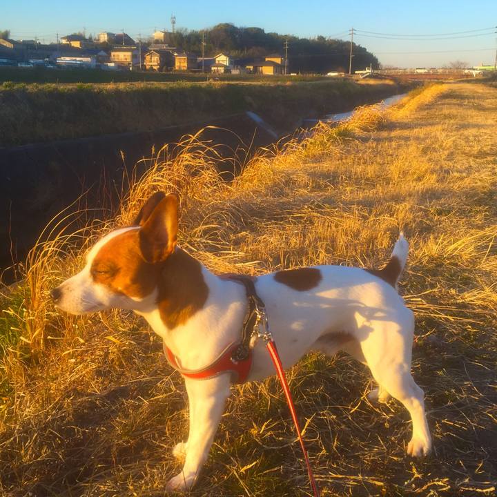 Dc3b38a8 9590 43f0 82be a71502757322