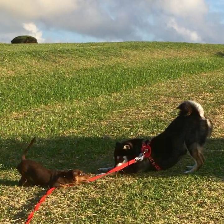 Dc3bbfbe e992 4ac6 a4a9 024e8dc69bbe