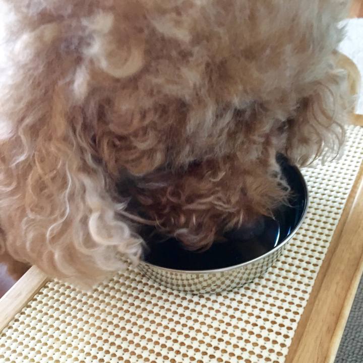 Dc3be52e 7993 4ebb 8bdd 9d6673039310