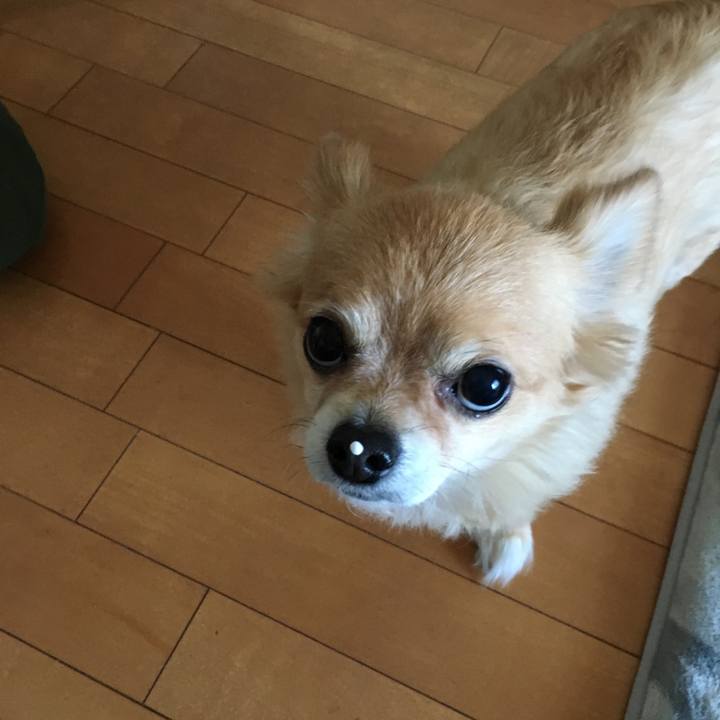 Dc3c4f11 e1a4 49ef 8f32 2239b489a168