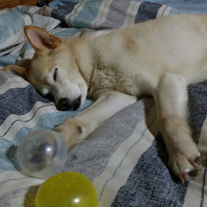 Dc3c5375 d221 4f76 9fee 689a966e0fb7