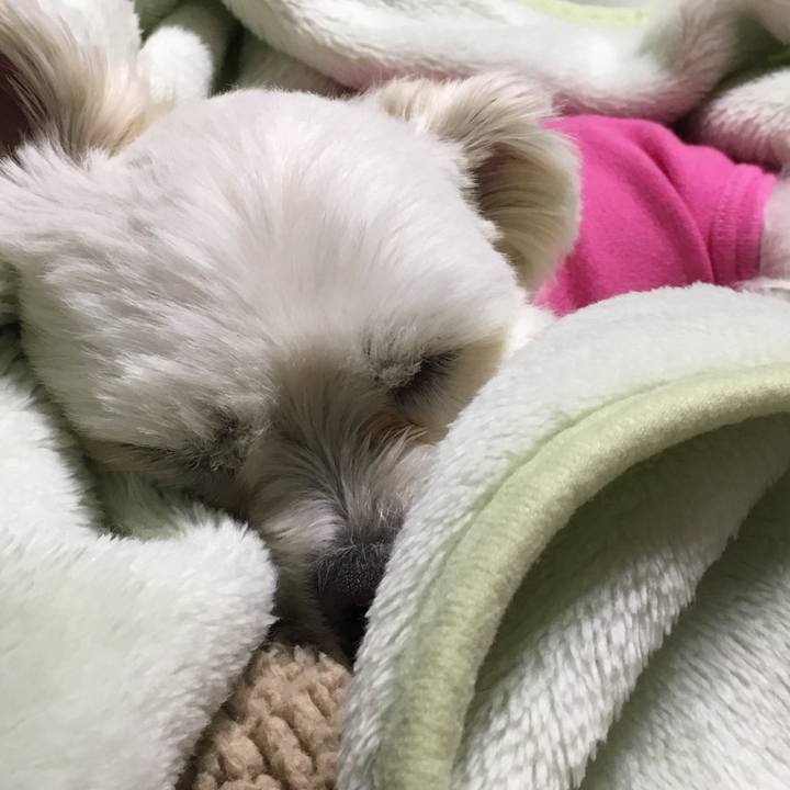 Dc3c6b20 820e 498d 90b8 9c642d8880d4