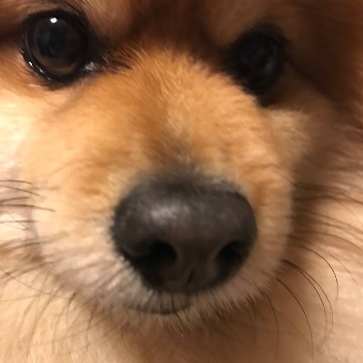 Dc3d6366 8eea 4e67 8cb8 cc3dfd093b06