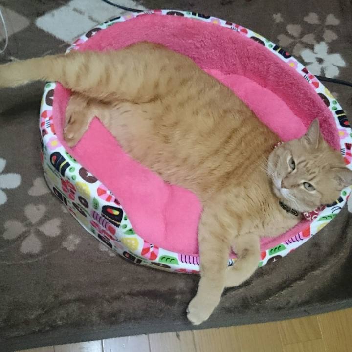 Dc3d77d9 e3de 4773 8e2e 1ce3e58a1b86