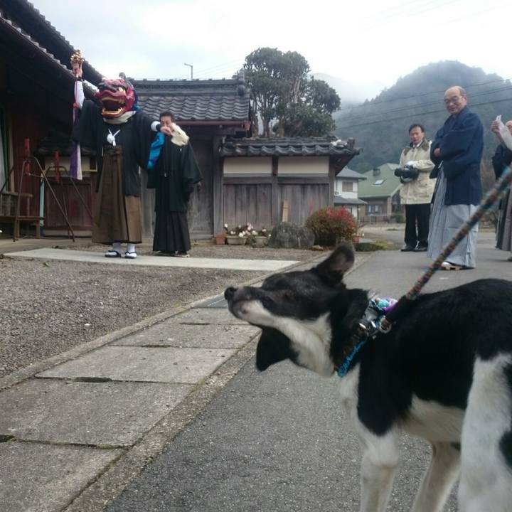 Dc3ea98f 15af 434c 9a44 6cf8cf6e97c1