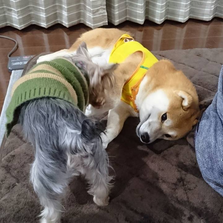 Dc3ebf11 a8ff 43c3 aef3 eba2606fe53f