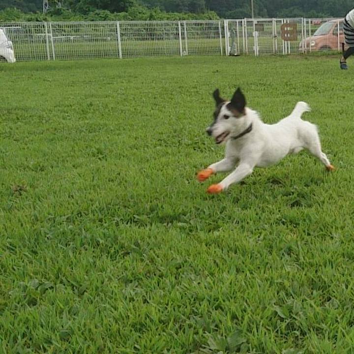 Dc3f2224 e352 4a01 b103 107b203022c0