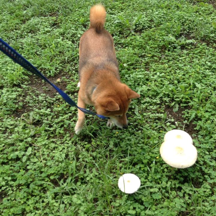 Dc3f7b19 0ca0 4863 a291 6876f23fdcef