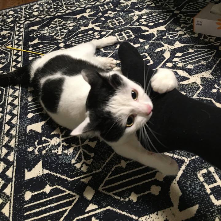 Dc3f8ed6 8ad0 4afa b12e 29d574129587