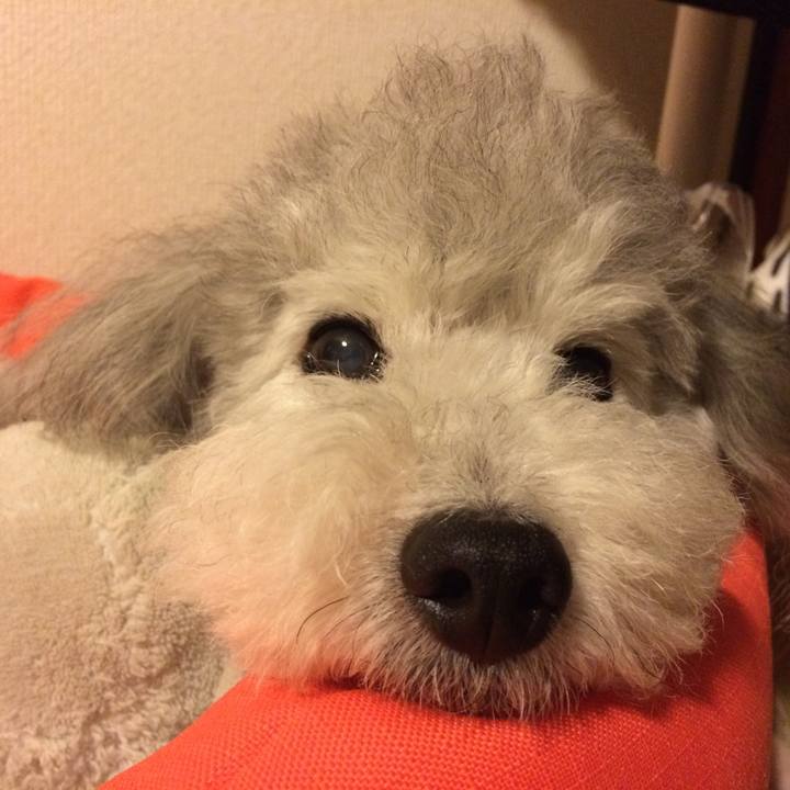 Dc3f96c6 199c 4b23 b4f2 b5605604d028