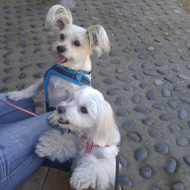 Dc407324 6854 48c9 a78c 5e343e25b0ae