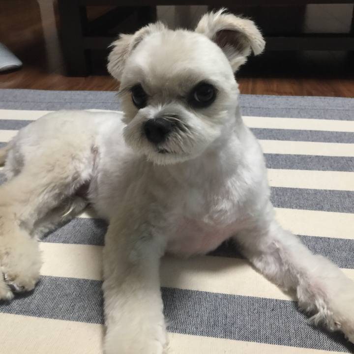 Dc40f143 d085 424c 9e42 e3d6a4b4d304