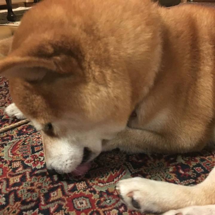 Dc40fd9c a5d5 4b83 8bda b07b43cddbbd