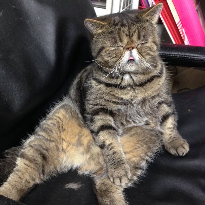 Dc417d82 73f2 481c 8fce 1e4f020cbedf