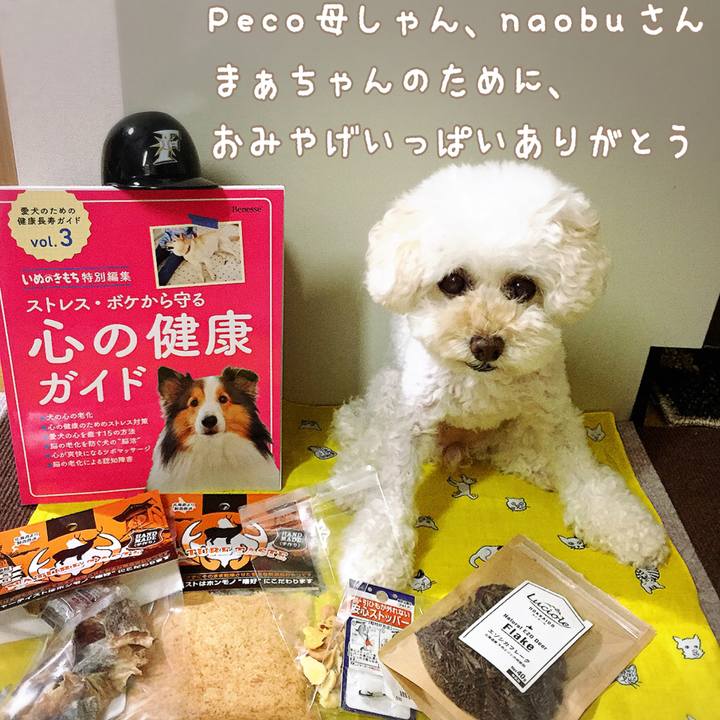 Dc419229 0ed6 4d9e 8541 ba4538e89ac7