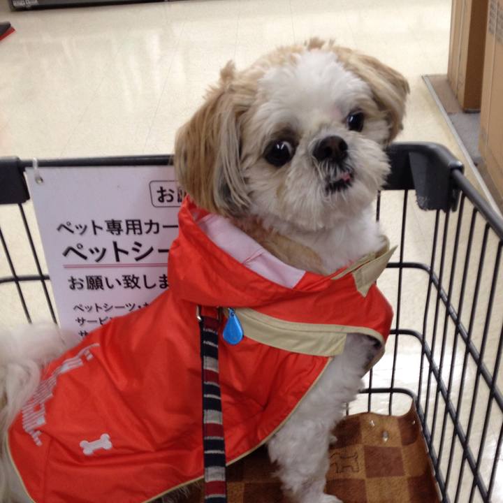 Dc421fbf e134 445f 9924 c96a4703757d