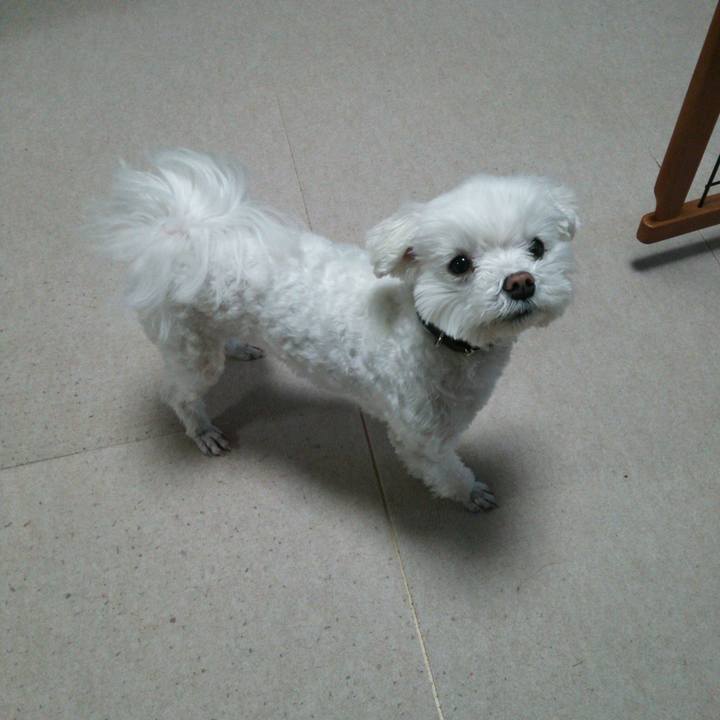 Dc4340b2 2d2d 4a7f 855d 90eca3518893