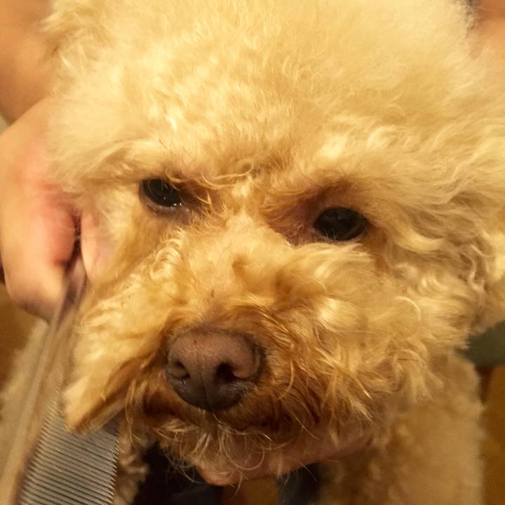 Dc438308 59cb 4cee 9ee0 20b75357a2c0