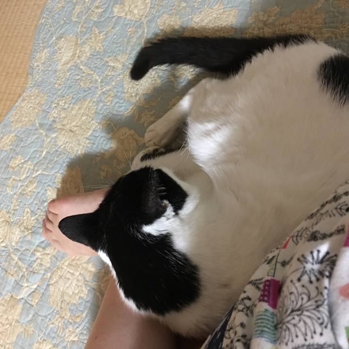 Dc44823e 1c72 4632 ab7f bda3162dfcd2