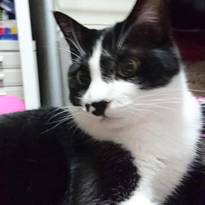 Dc448813 4344 498d 931b 32ed1561a1da