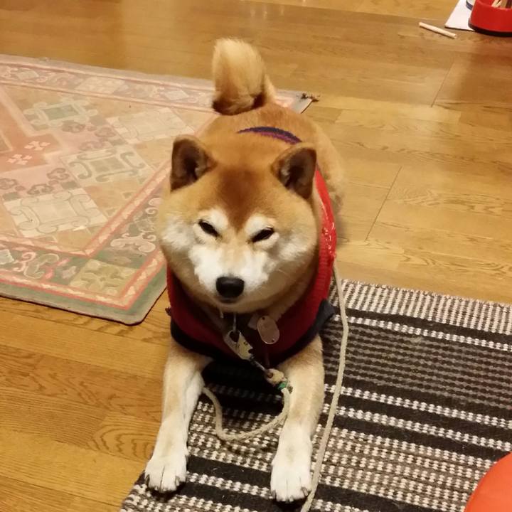 Dc44d08a 6076 4125 bdd7 e1eafbf9f312