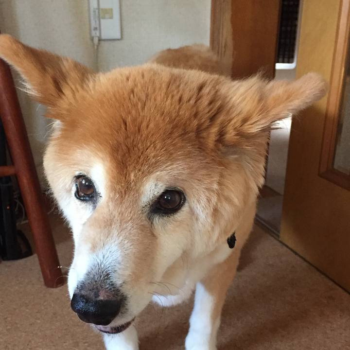 Dc44e73f 9d3a 408d ac30 a14c85b87678