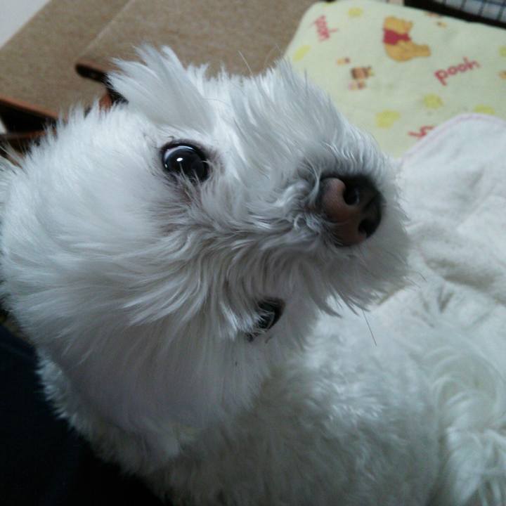 Dc45a1f4 177e 47fa bde4 db384766e3f9