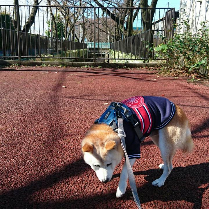 Dc45b1e0 1cbe 4e24 9ddc 152c9a1c3f8e