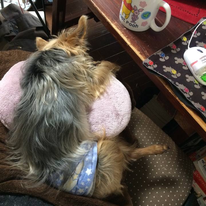 Dc45cf78 bcb8 4c5d 8033 39fe5c7a8d41