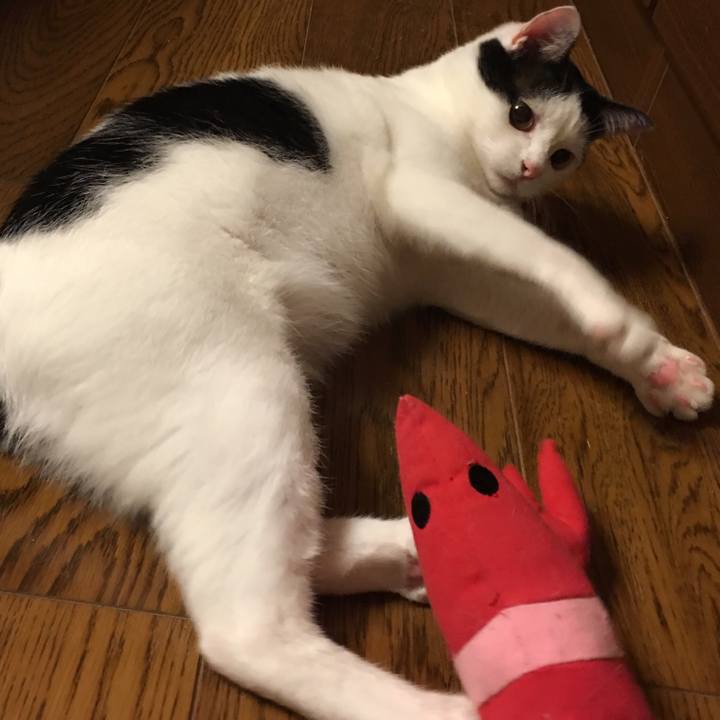 Dc460a2d 9943 4e48 aa56 5b717e7d225f