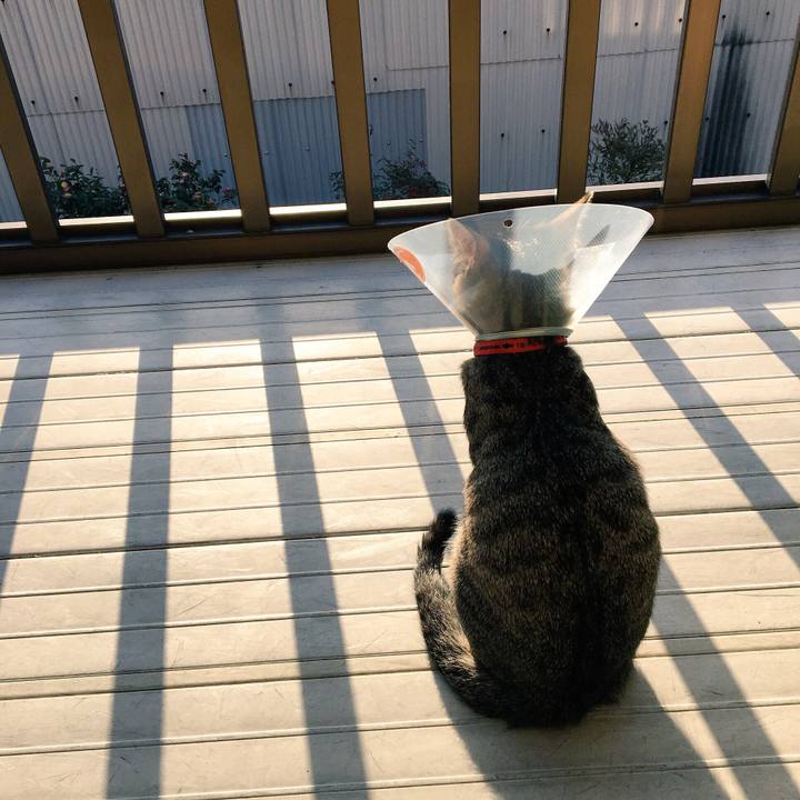 Dc46341e 14df 484b a733 f61cb25ddf01