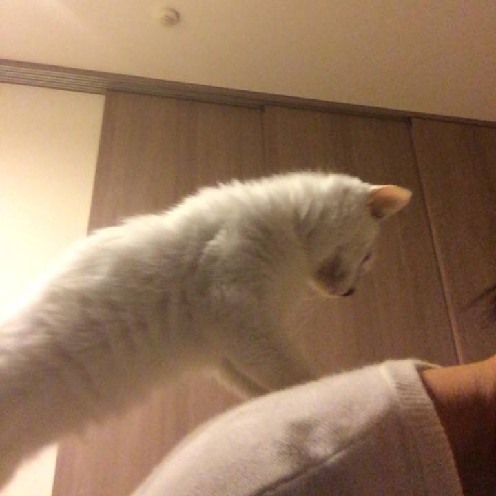 Dc465c4f be16 46c3 9298 1f7f5e974886