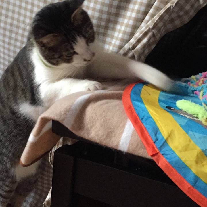 Dc47217f 799c 4510 abf4 f4758ec624f4