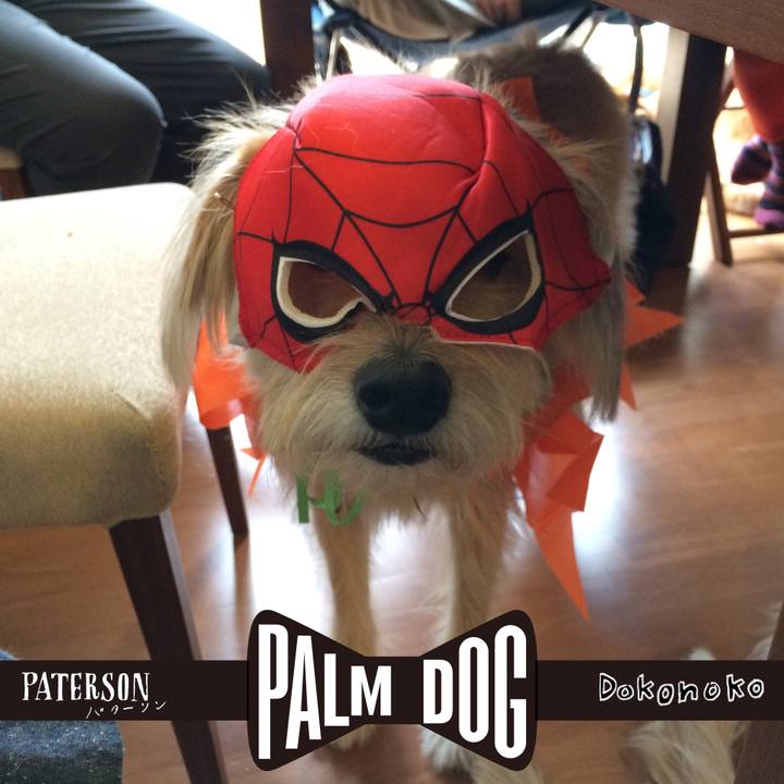 Dc47c7d2 00fe 4b1a b41f 3a1805aa8cd1