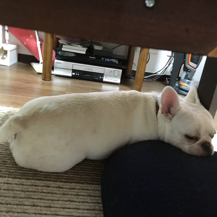 Dc4812c7 fd93 44cc a371 ac8da77e8bf2