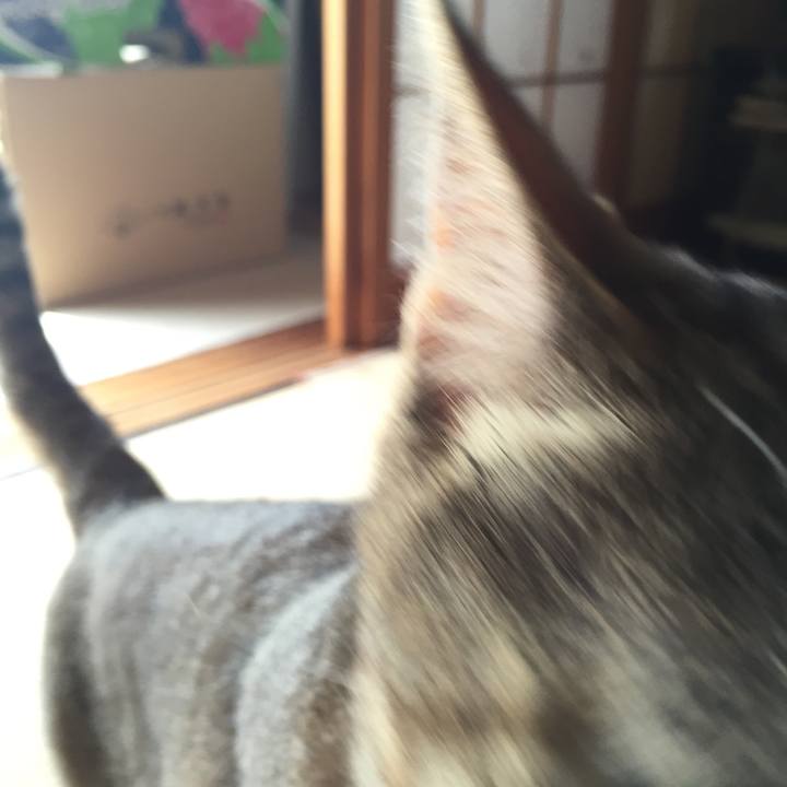 Dc48c403 c570 4364 bab1 78fea5714d5a