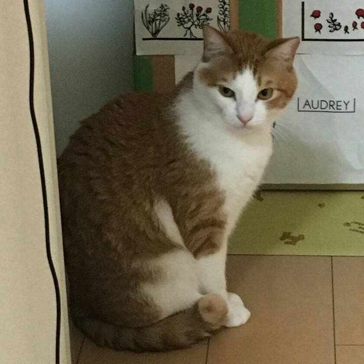 Dc49f2de 95bc 43f4 95b4 d5717214d80e