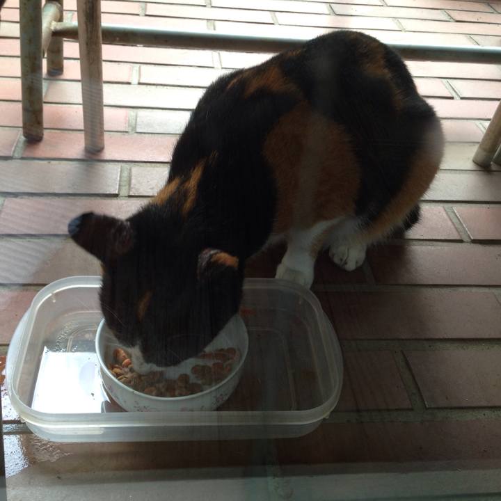 Dc4a83f9 421a 447b 9965 410cc9ffa7f7