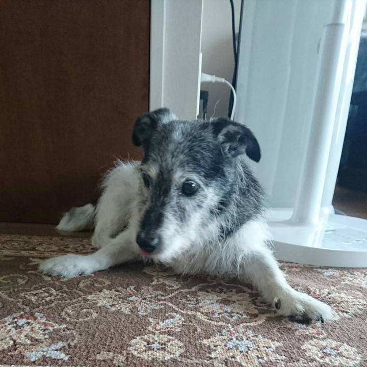 Dc4a988c 8c32 46e5 887b 55b23e94fc5b