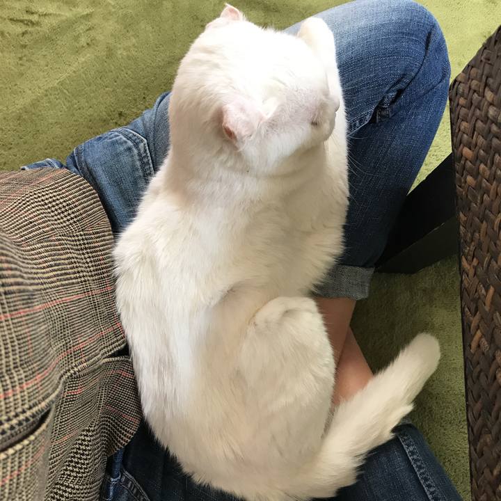 Dc4aa6dd 7448 4c73 993d 6264b268a6f8