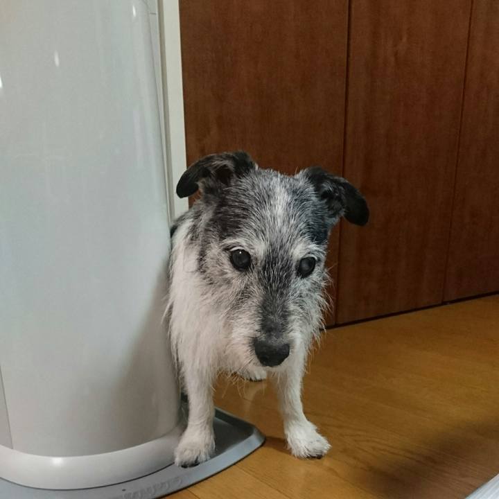 Dc4b1745 498f 4dd3 89c0 743d3cd3745d