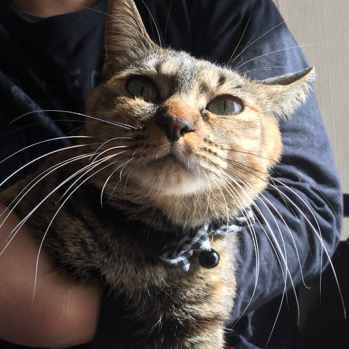 Dc4b17a1 5241 4666 b5df cbe8e6885343