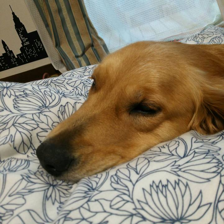 Dc4b340d e040 4663 ab8d a27d01e01ada