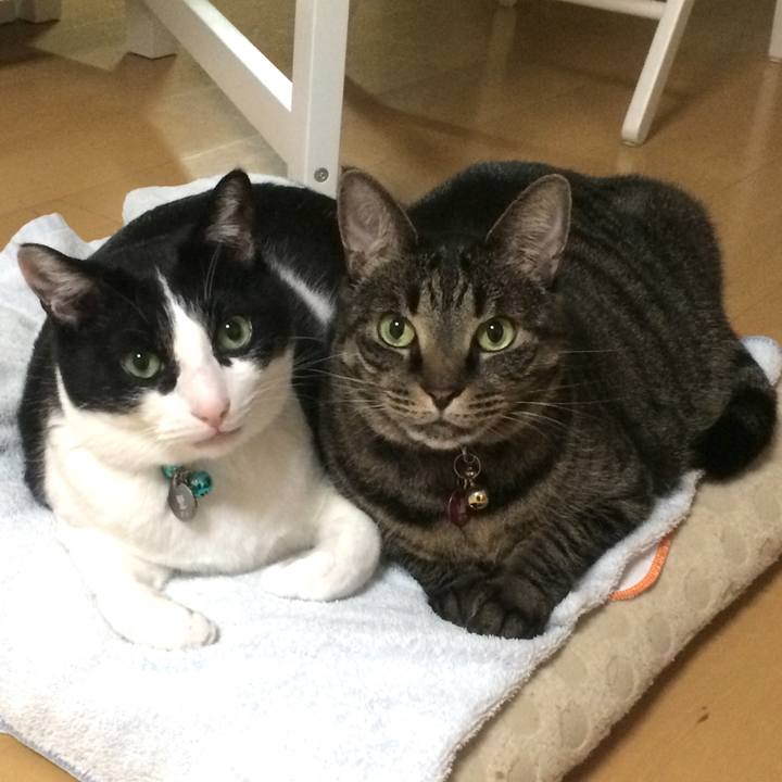 Dc4b43d3 f87e 476d 9a07 8ee2dbe789d3