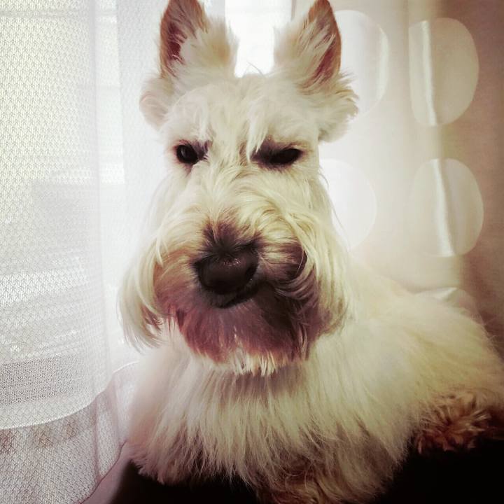 Dc4b6c12 0bd6 425e 978f 3dd92f32c458