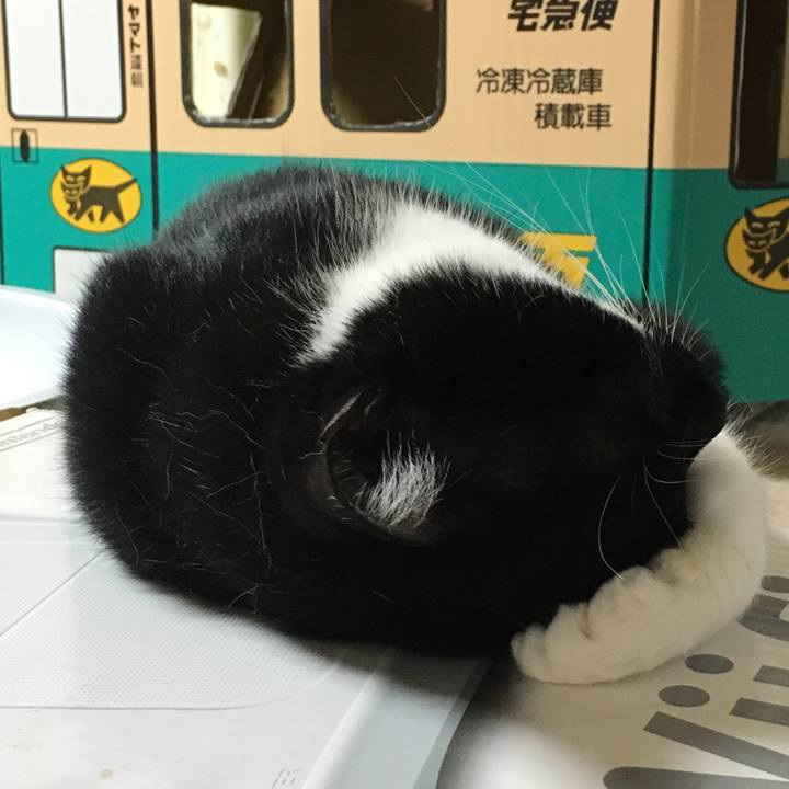 Dc4bc9c1 c51d 4578 a1df 3b78a96e685f