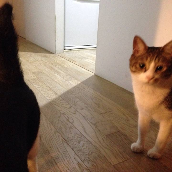 Dc4bcb94 0ecb 4be6 86de 6a536ab8ab68