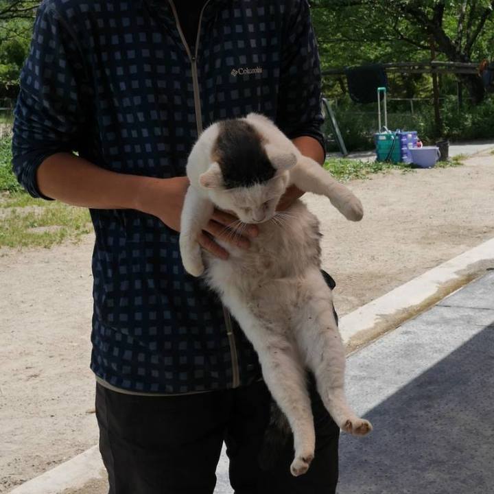 Dc4bf8b5 7ee9 4581 a6e8 d98f5a2a8ceb